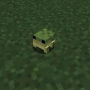 Meet your Posher, Veronica